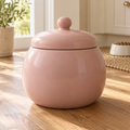 Blush Round Pet Food Jar — AI-generated concept visualization